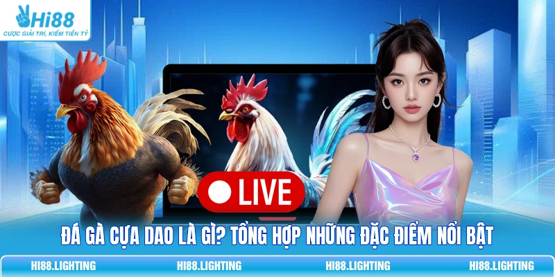 Đá Gà Cựa Dao - Đặc Điểm Của Loại Hình Giải Trí Hấp Dẫn 1 Đá Gà Cựa Dao - Đặc Điểm Của Loại Hình Giải Trí Hấp Dẫn