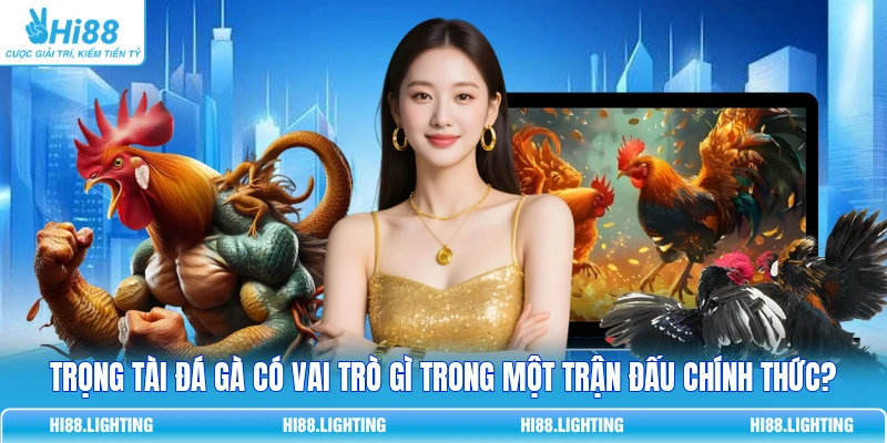 Trọng Tài Đá Gà - Nhiệm Vụ Chính Và Các Phẩm Chất Cần Có 1 Trọng Tài Đá Gà - Nhiệm Vụ Chính Và Các Phẩm Chất Cần Có